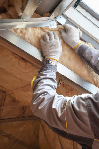 Types of Insulation We Offer in Waianae, HI